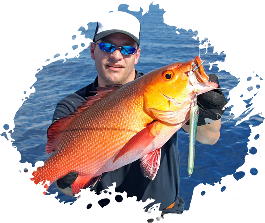 Modern Design Exotic Fishinizerry - 178体育直播